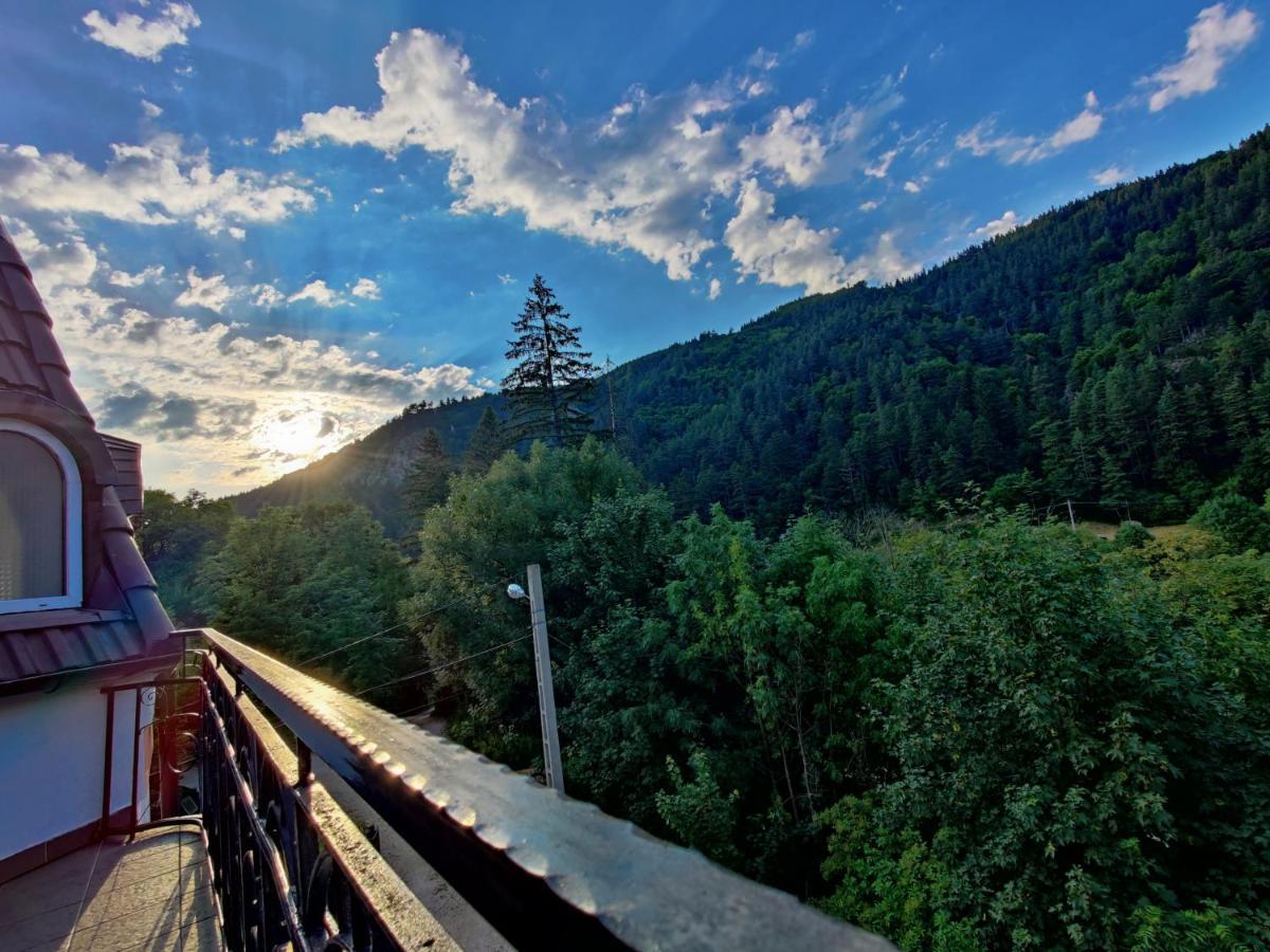 Castle Gate Hotel Bran  Bagian luar foto